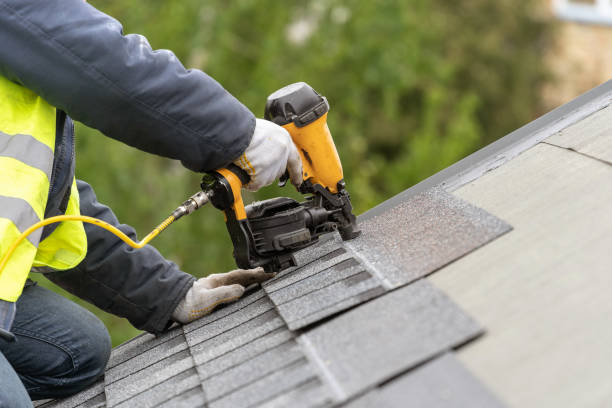 Best Solar Panel Roofing Installation  in Fisher, IL